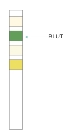 Test Result Positive Blood