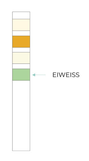 Test Result Positive Protein