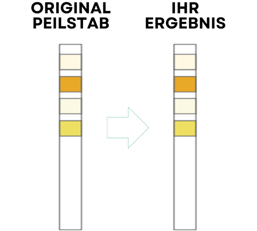 Test Results Negative