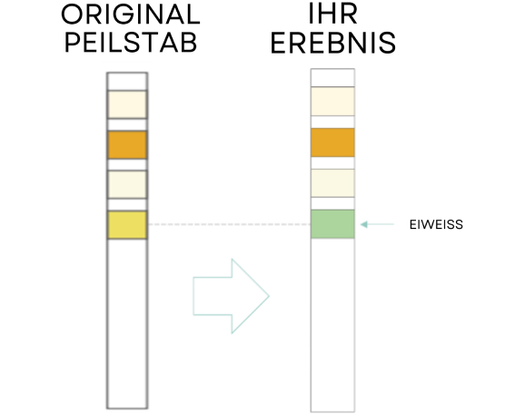 Test Results Positive Protein