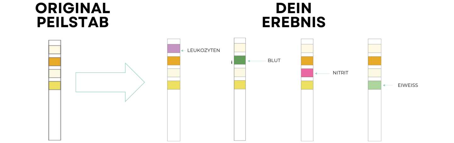 Uti Test Reult Positive