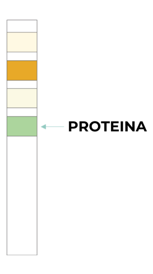 Test Result Positive Protein