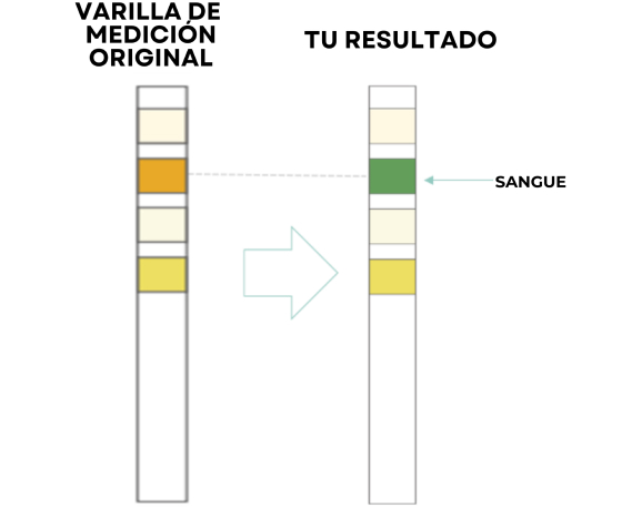 Test Results Positive Blood