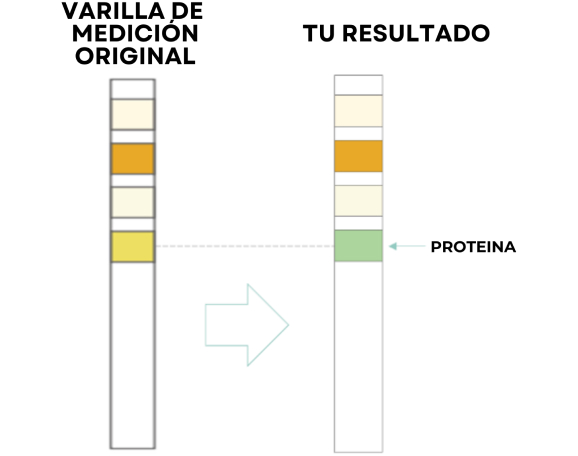 Test Results Positive Protein