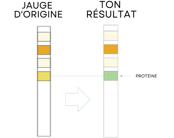 Test Results Positive Protein