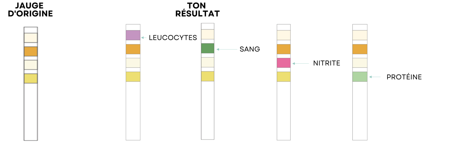 Uti Test Reult Positive