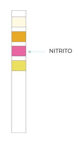 Test Result Positive Nitrite