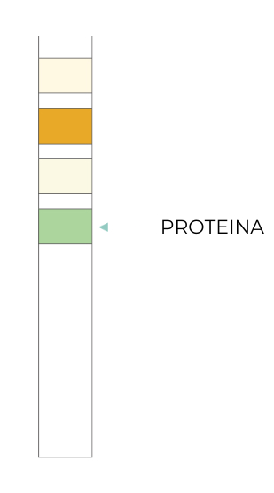 Test Result Positive Protein