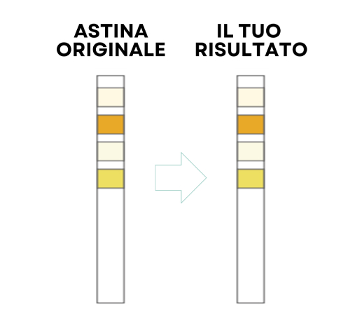 Test Results Negative