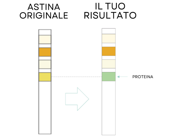 Test Results Positive Protein