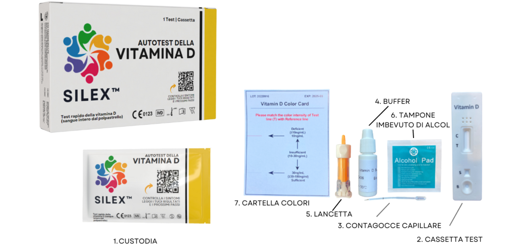 Vitamin D Test Contents