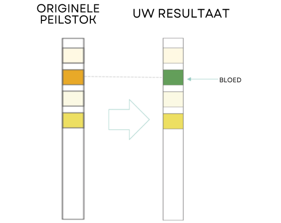 Test Results Positive Blood