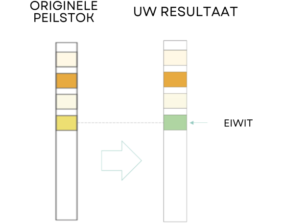 Test Results Positive Protein