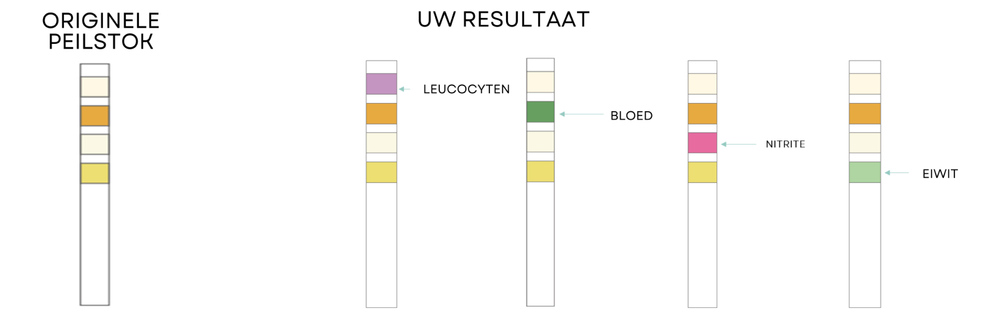 Uti Test Reult Positive